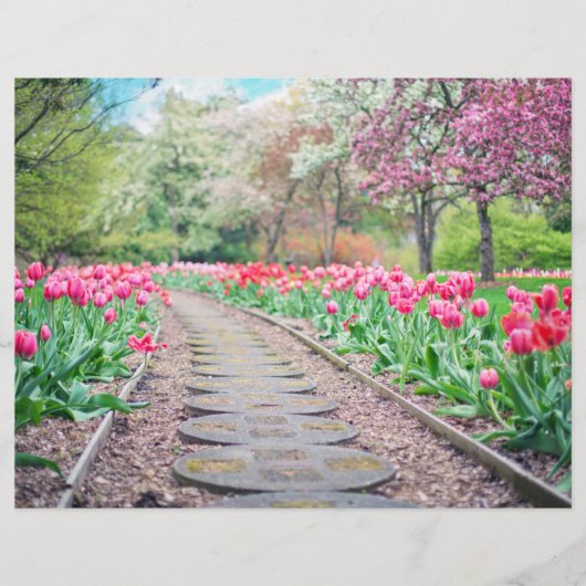 風光明媚なチューリップパススクラップブック紙 (正面)