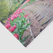 風光明媚なチューリップパスティッシュペーパー 薄葉紙 (詳細)