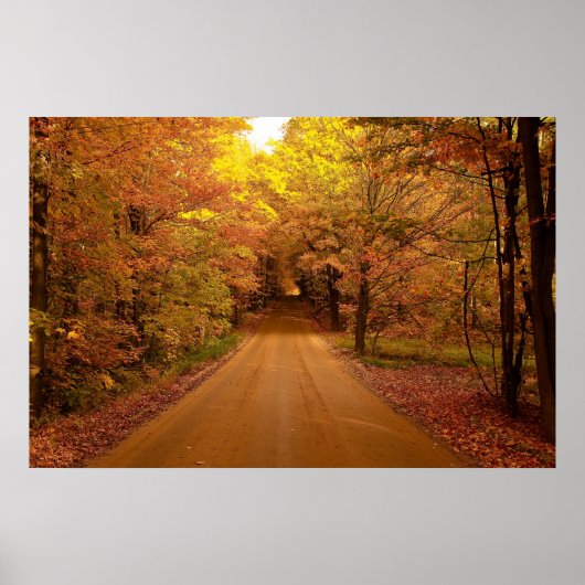 風光明媚なドライブのポスター ポスター (正面)