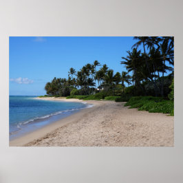 風光明媚なハワイアンコーストビューポスター ポスター
