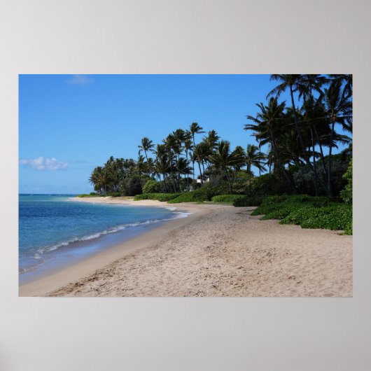 風光明媚なハワイアンコーストビューポスター ポスター (正面)