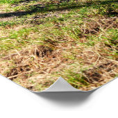 風光明媚なハワイアンコーストビューポスター ポスター (角)