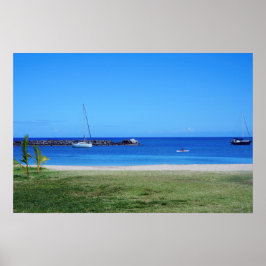 風光明媚なハワイアンコーストビューポスター ポスター