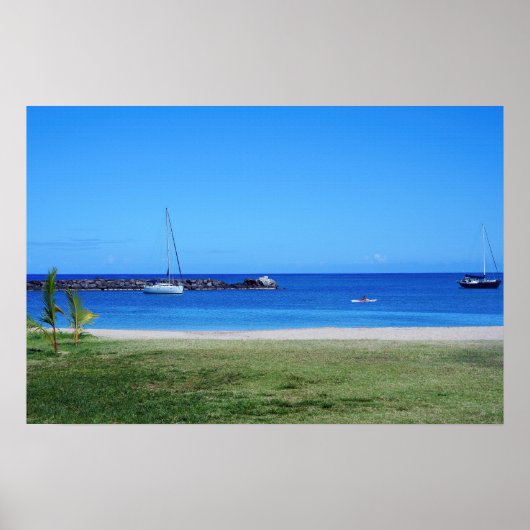 風光明媚なハワイアンコーストビューポスター ポスター (正面)