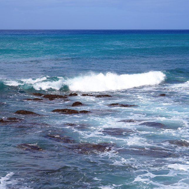 風光明媚なハワイ海ビューメタルウォールアート30 x 20 メタルプリント (クリエイターアップロード済み)