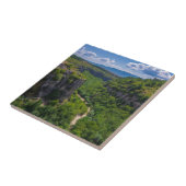 風光明媚なパインツリーズキャニオン タイル (側面)