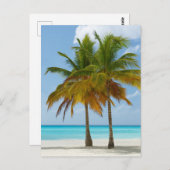 風光明媚なパームツリーオンザトロピカルビーチ ポストカード (正面/裏面)
