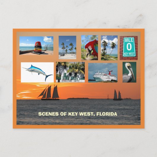 風光明媚なビュー鍵西，フロリダ ポストカード (正面)