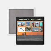 風光明媚なビュー鍵西，フロリダ マグネット (正面/裏面)