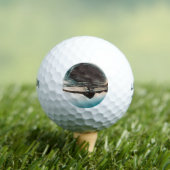 風光明媚なビーチアート海画像カッコいい写真Bea ゴルフボール (インサイチュ 木)