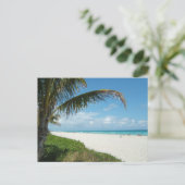 風光明媚なビーチ、サイドパームブランチ ポストカード (スタンド正面)