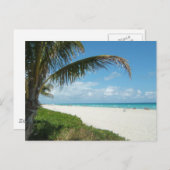 風光明媚なビーチ、サイドパームブランチ ポストカード (正面/裏面)