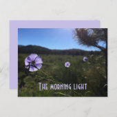 風光明媚なプレーリーブルーフラックスフラワーユー恋しく思ザ ポストカード (正面/裏面)