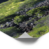 風光明媚なポスター ポスター (角)