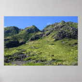 風光明媚なポスター ポスター (正面)