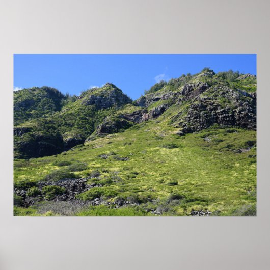 風光明媚なポスター ポスター (正面)