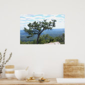 風光明媚なポスター ポスター (キッチン)