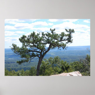 風光明媚なポスター ポスター