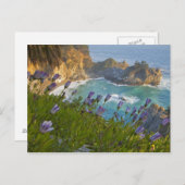 風光明媚なマッウェイ秋はビーチに転がり ポストカード (正面/裏面)