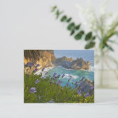 風光明媚なマッウェイ秋はビーチに転がり ポストカード (スタンド正面)