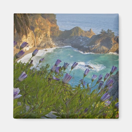 風光明媚なマッウェイ秋はビーチに転がり マグネット (正面)