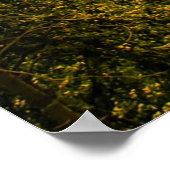 風光明媚なモンタナランドスケープ ポスター (角)