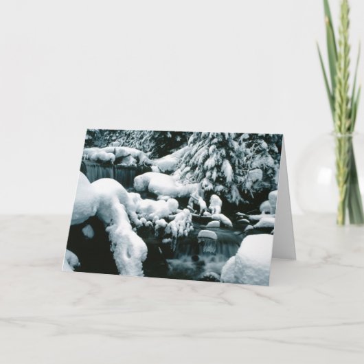 風光明媚な冬のホリデービジネスクリスマ空白のス シーズンカード (正面)