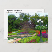 風光明媚な庭園IIオーランド， FL ポストカード (正面/裏面)