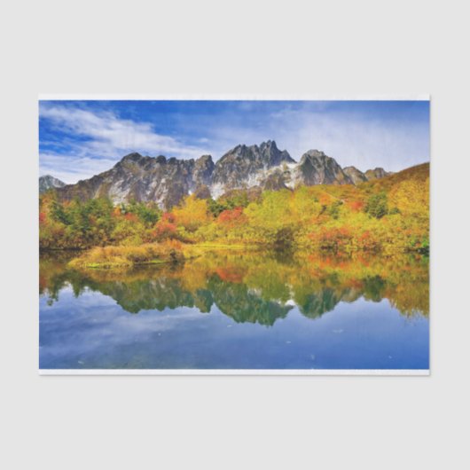 風光明媚な景観の森と山 薄葉紙 (正面)