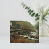 風光明媚な景観の滝と森 ポストカード (スタンド正面)