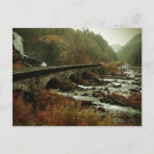 風光明媚な景観の滝と森 ポストカード (正面)