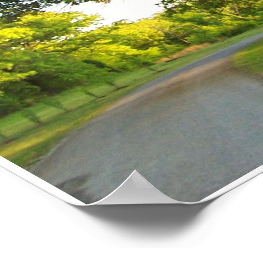 風光明媚な木2 ポスター (角)