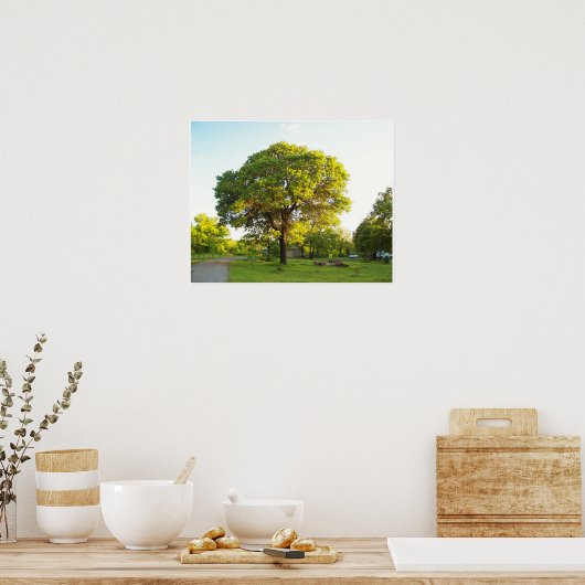 風光明媚な木2 ポスター (キッチン)