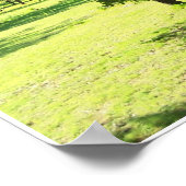 風光明媚な木 ポスター (角)