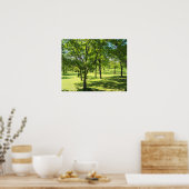 風光明媚な木 ポスター (キッチン)