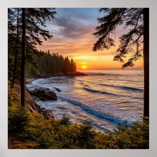 風光明媚な海岸沿いの日没の景色と並木海岸 ポスター (正面)