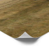 風光明媚な牧場のポスター ポスター (角)