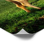 風光明媚な牧草地での牛の放牧 ポスター (角)