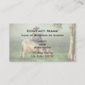 風光明媚な牧草地で農家と牛の放牧 名刺 (裏面)