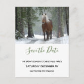 風光明媚な茶色の馬の写真クリスマスデートを保存 インビテーションポストカード (正面)