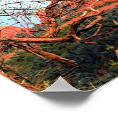 風光明媚な赤い岩のセドナラテマグ ポスター (角)