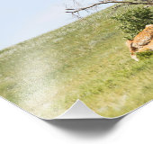 風光明媚な農村サスカチュワン フォトプリント            (角)