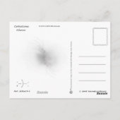 風刺葉書オバマ ポストカード (裏面)