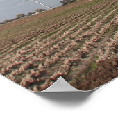 風力タービン ポスター (角)