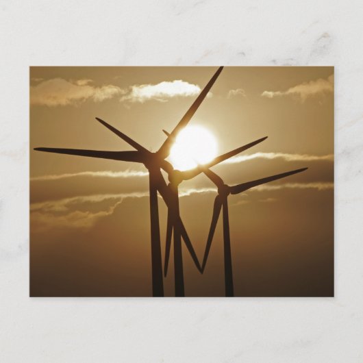 風力 ポストカード (正面)