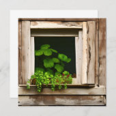 風化かわいらしした木素朴を持つ窓の植物 (正面/裏面)