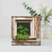 風化かわいらしした木素朴を持つ窓の植物 (スタンド正面)