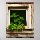 風化かわいらしした木素朴を持つ窓の植物 ポスター (正面)