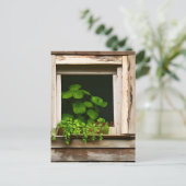 風化かわいらしした木素朴を持つ窓の植物 ポストカード (スタンド正面)