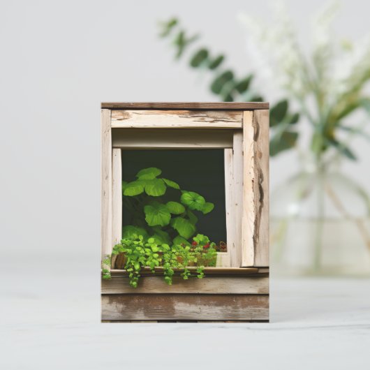 風化かわいらしした木素朴を持つ窓の植物 ポストカード (スタンド正面)